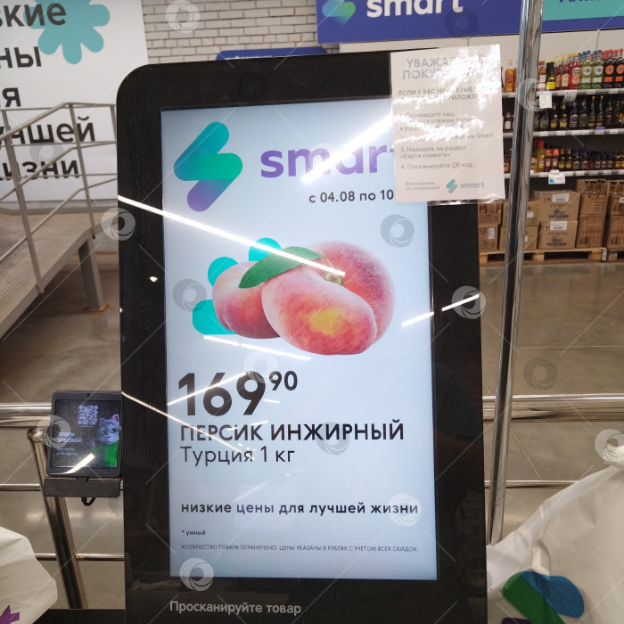 Скачать Терминал самообслуживания в магазине "Smart". фотосток Ozero
