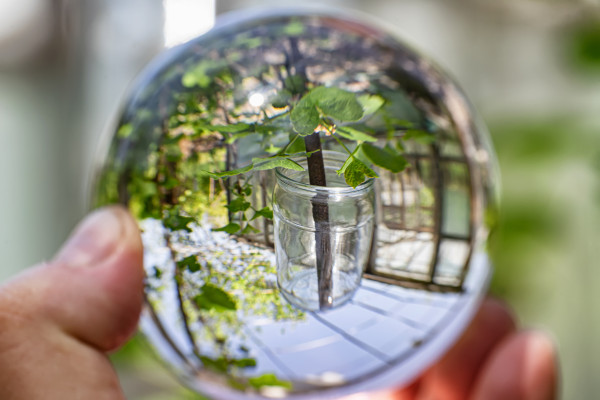 [object Object] undefined