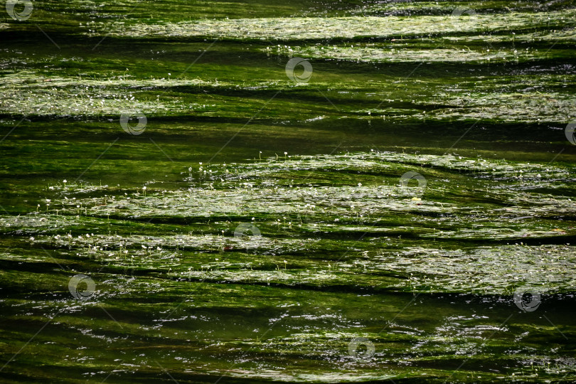 Скачать Рябь на поверхности воды с солнечными бликами в водной среде фотосток Ozero
