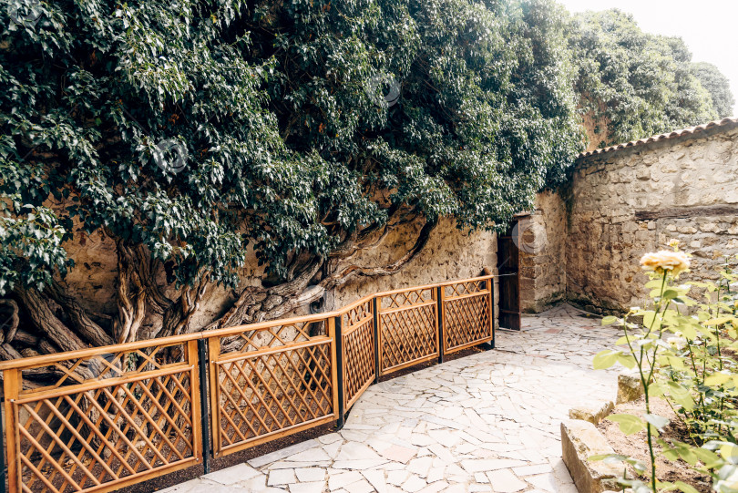 Скачать Входная дверь небольшого жилого дома по соседству, внешнее здание снаружи фотосток Ozero