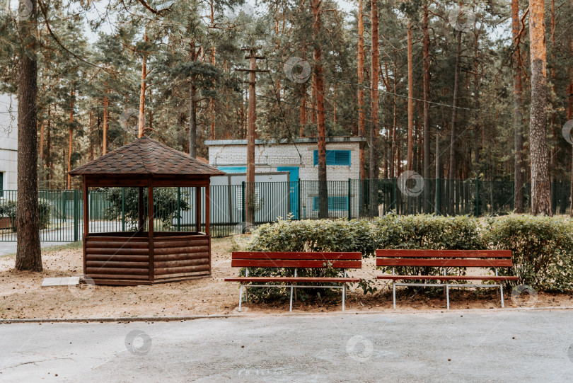 Скачать Москва, Россия, 7 июля 2020 года, Старые кирпичные здания советского пионерского лагеря на территории пустынного соснового леса парка фотосток Ozero