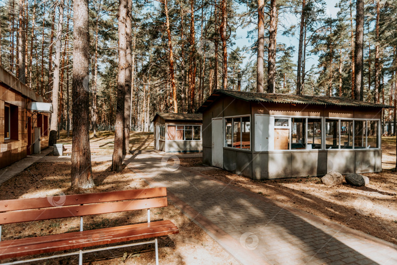 Скачать Москва, Россия, 7 июля 2020 года, Старые кирпичные здания советского пионерского лагеря на территории пустынного соснового леса парка фотосток Ozero