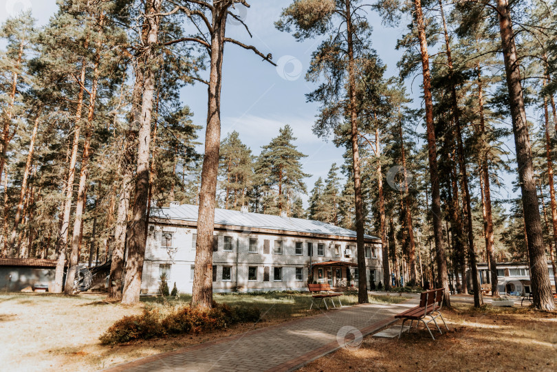 Скачать Москва, Россия, 7 июля 2020 года, Старые кирпичные здания советского пионерского лагеря на территории парка "Пустынный сосновый бор" фотосток Ozero