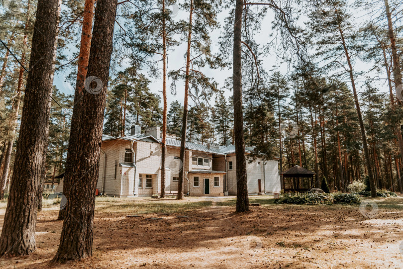Скачать Москва, Россия, 7 июля 2020 года, Старые кирпичные здания советского пионерского лагеря на территории пустынного соснового леса парка фотосток Ozero