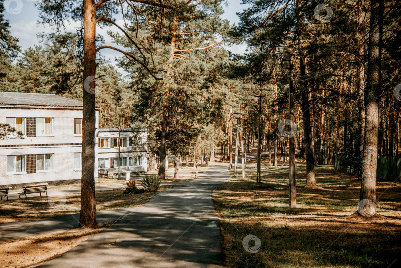 Скачать Москва, Россия, 7 июля 2020 года, Старые кирпичные здания советского пионерского лагеря на территории пустынного соснового леса парка фотосток Ozero