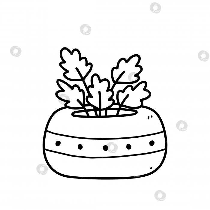 Скачать Симпатичное комнатное растение в цветочном горшке, выделенное на белом фоне. Векторная рисованная иллюстрация в стиле каракули. Идеально подходит для открыток, украшений, логотипа. фотосток Ozero