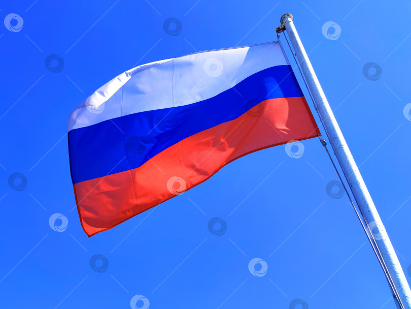 Скачать Флаг России, официальный государственный символ Российской Федерации. Триколор. Флаг России - официальный государственный символ Российской Федерации. Триколор. фотосток Ozero