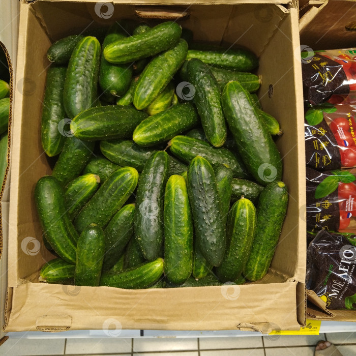 Скачать Отдел огурцов в магазине "Магнит". фотосток Ozero