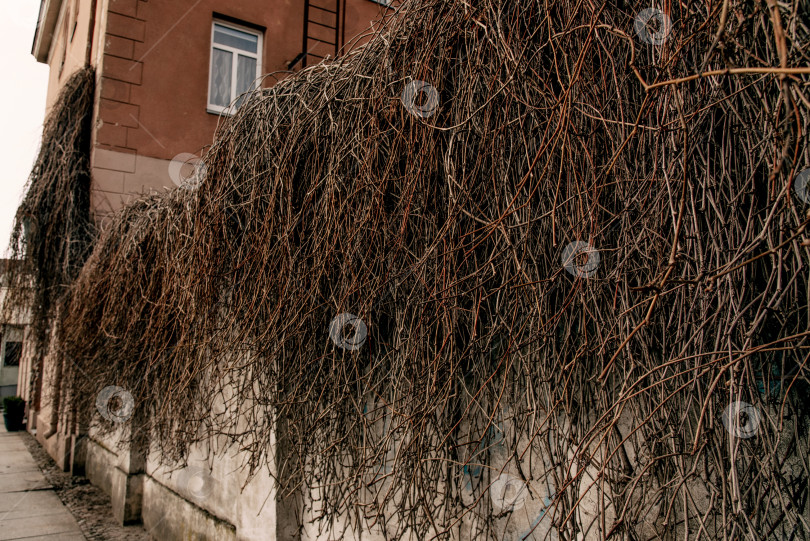 Скачать Небольшой жилой дом коттедж в пригороде окрестности загородный экстерьер снаружи фотосток Ozero