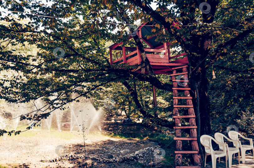Скачать Тбилиси, Грузия, 8 марта 2019 года, Домик на дереве на заднем дворе, где дети могут создавать мир, придумывая игры фотосток Ozero
