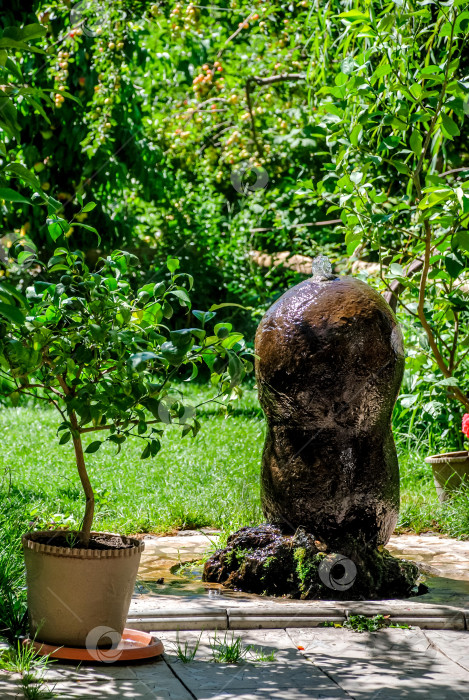 Скачать Безмятежный садовый фонтан среди пышной зелени в солнечный день фотосток Ozero