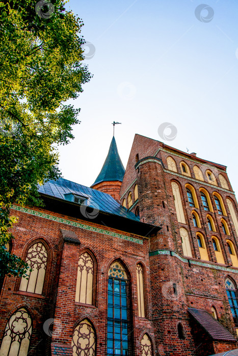 Скачать Калининград, Россия, 15 августа 2015 года, архитектура католического храма в кафедральном соборе Канта фотосток Ozero