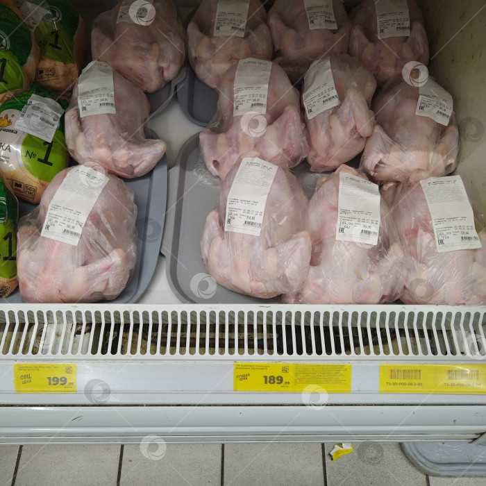 Скачать Отдел курицы в магазине "Магнит". фотосток Ozero