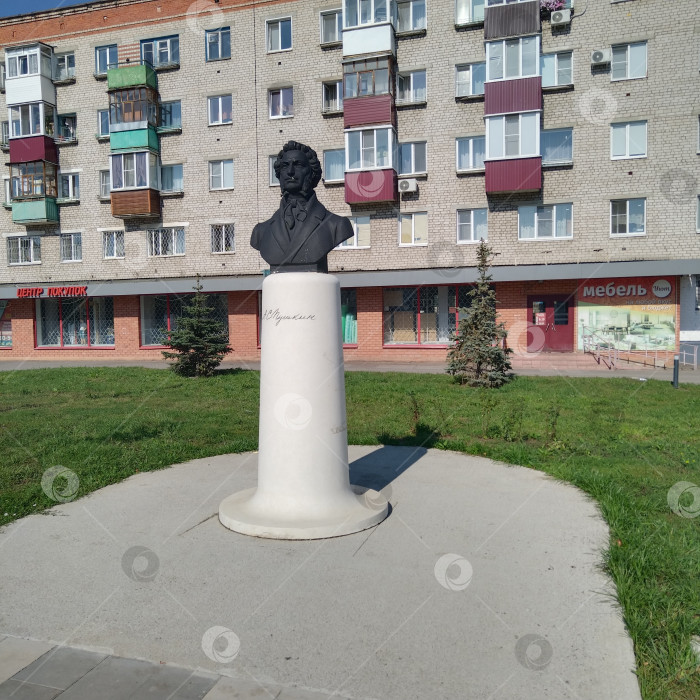 Скачать Памятник Пушкину. фотосток Ozero