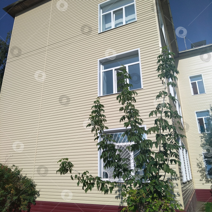 Скачать Центральная районная поликлиника. фотосток Ozero