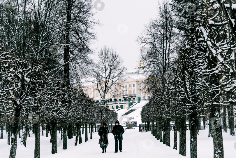 Скачать Санкт-Петербург, Россия, 18 февраля 2018 года, зимняя прогулка по музею "Петергоф" фотосток Ozero