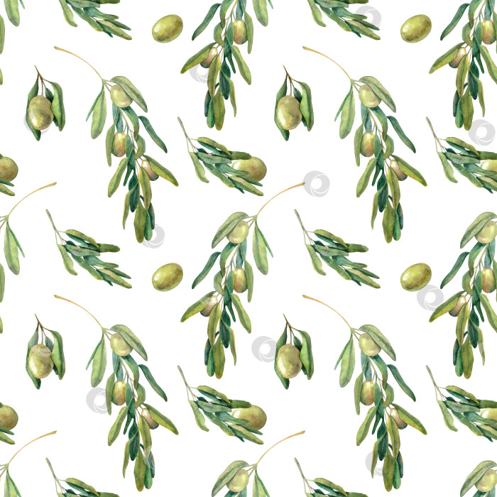 Скачать Бесшовный узор с зелеными оливковыми ветвями, листьями и ягодами. Рисунок ручной работы, выполненный акварелью на белом фоне, для дизайна текстиля, тканей и упаковки. фотосток Ozero