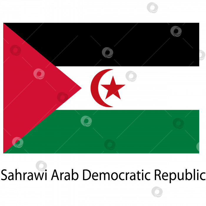 Скачать Флаг страны Сахарская арабская демократическая республика. Векторная иллюстрация. фотосток Ozero
