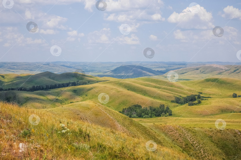 Скачать Холмистые зеленые луга. фотосток Ozero