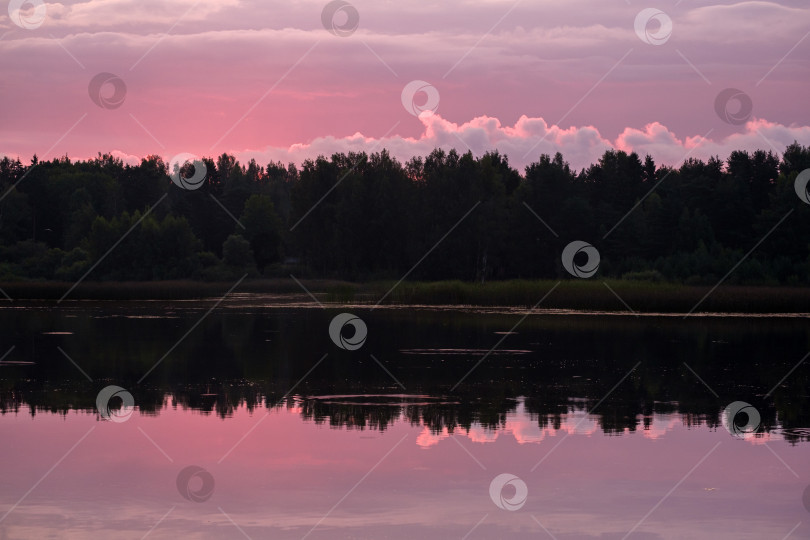 Скачать раннее утро и восход солнца над рекой и лесом фотосток Ozero