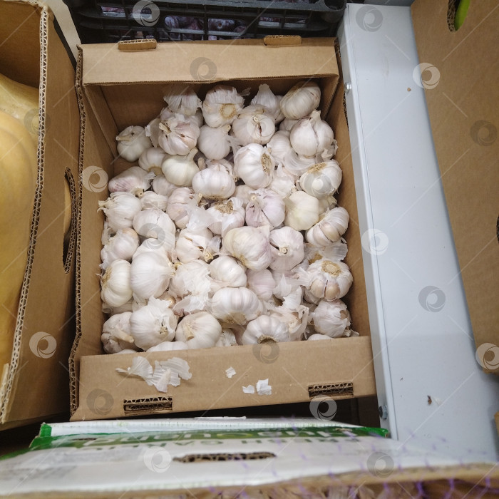 Скачать Отдел чеснока в магазине "Победа". фотосток Ozero