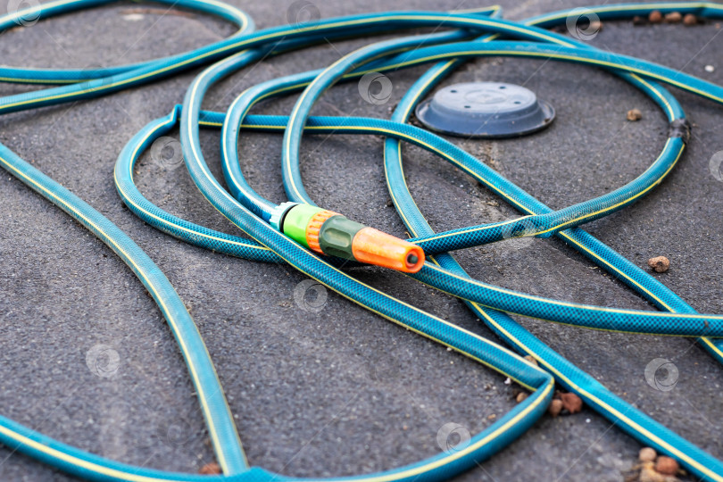 Скачать Аккуратно уложенный на землю свернутый садовый шланг для полива фотосток Ozero