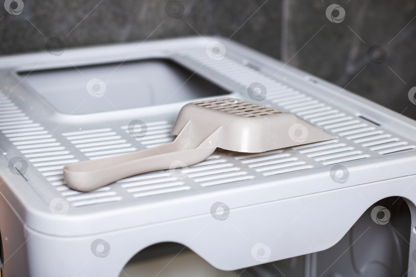 Скачать Ящик для кошачьего туалета, на крышке которого лежит совок фотосток Ozero