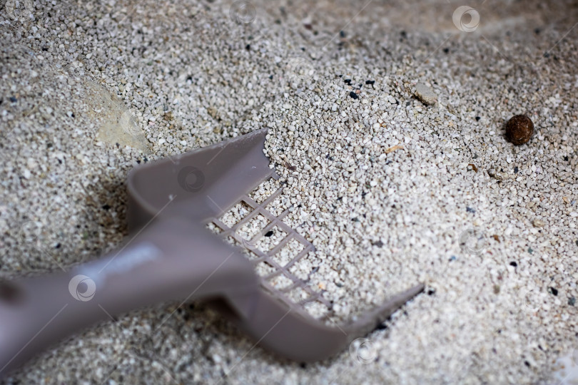 Скачать В настоящее время на куче песка лежит совок для кошачьего туалета фотосток Ozero