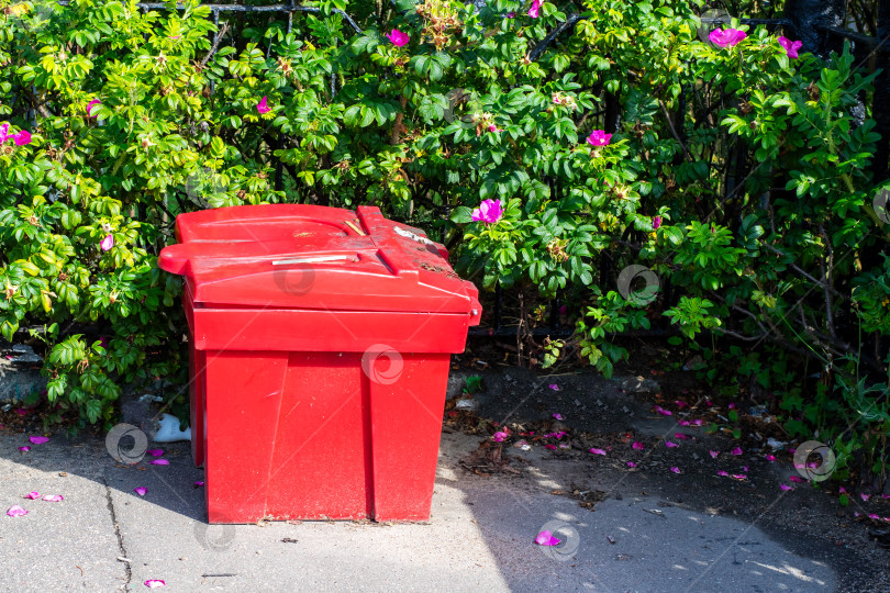 Скачать В данный момент на тротуаре рядом с кустом стоит красный мусорный бак фотосток Ozero