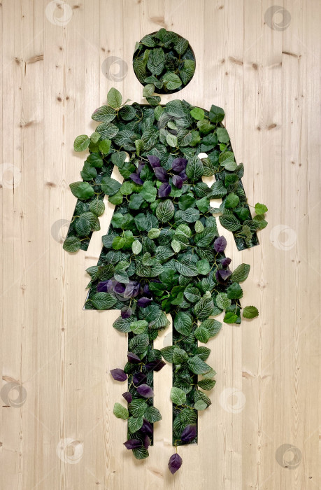 Скачать Женский силуэт, покрытый листьями, на деревянной поверхности в качестве фона для концепции экологичности фотосток Ozero