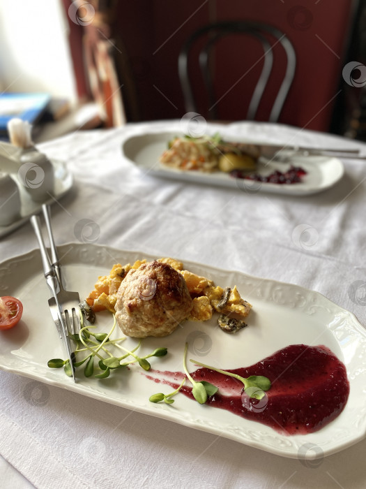 Скачать Изысканное блюдо из курицы, подаваемое с красочными гарнирами на элегантной белой тарелке в ресторане фотосток Ozero