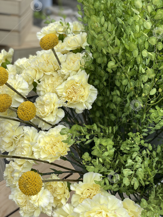 Скачать Желтые гвоздики и зеленая листва в цвету идеально подойдут в качестве яркого весеннего фона фотосток Ozero