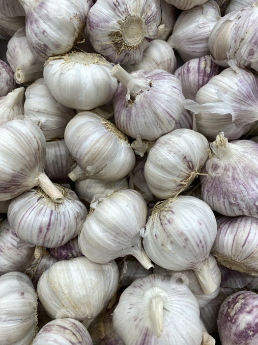 Скачать Чесночные луковицы в куче, демонстрирующие естественную текстуру и цвета для использования в качестве фона для еды фотосток Ozero