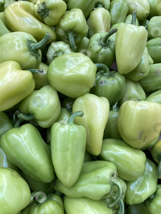 Скачать Зеленые болгарские перцы, уложенные вплотную друг к другу, создают яркий и свежий овощной фон фотосток Ozero