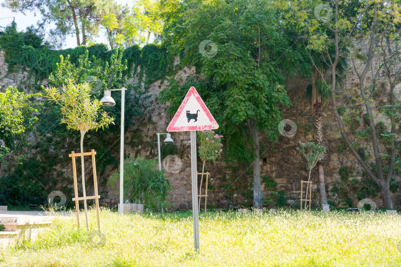 Скачать Вывеска с изображением кошки находится на поросшей травой территории фотосток Ozero