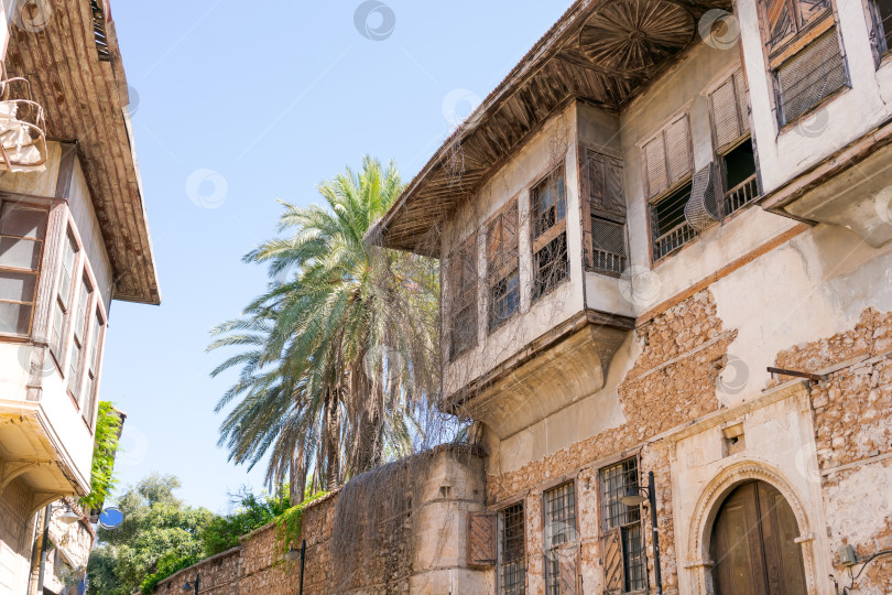 Скачать Здание с балконом и деревом перед ним фотосток Ozero