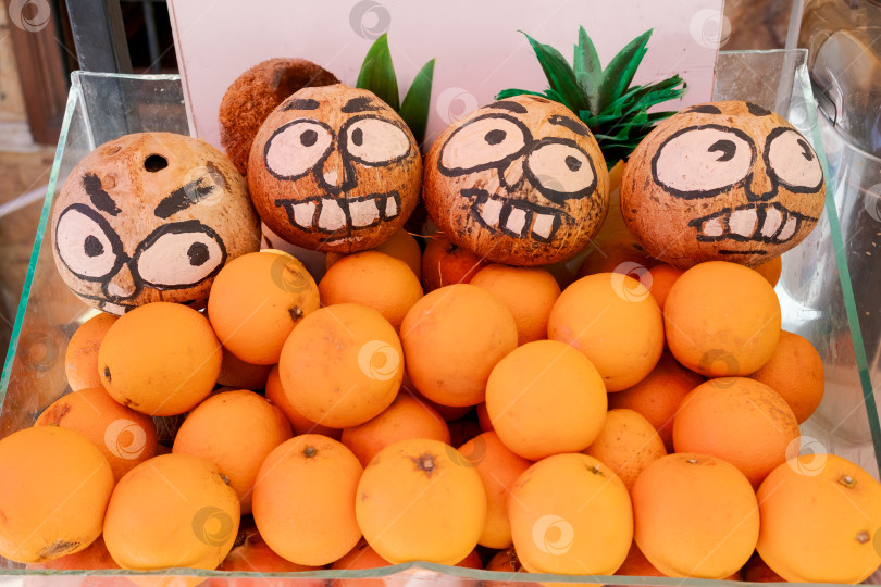 Скачать Четыре вырезанные грани на кокосовых орехах и апельсинах фотосток Ozero