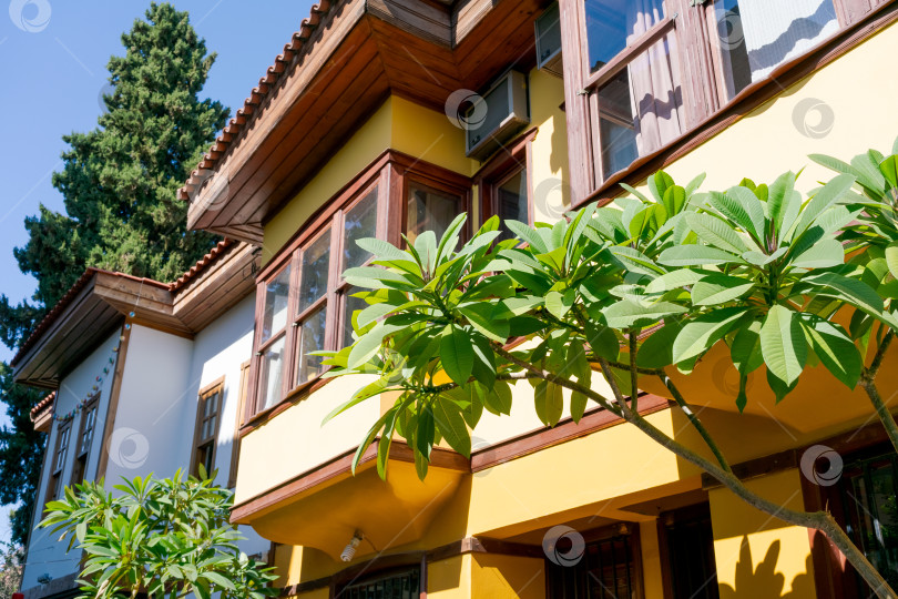 Скачать Желтый дом с зеленой пальмой перед ним фотосток Ozero