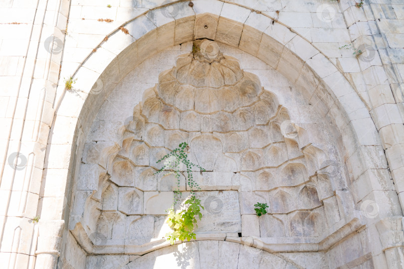 Скачать Каменная арка с растущим из нее растением фотосток Ozero