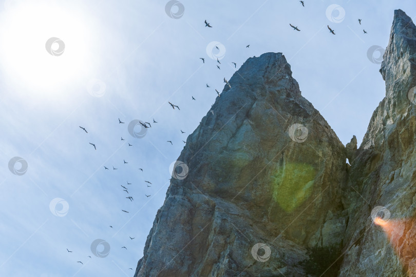 Скачать Группа птиц, летящих в небе над большой скалой фотосток Ozero