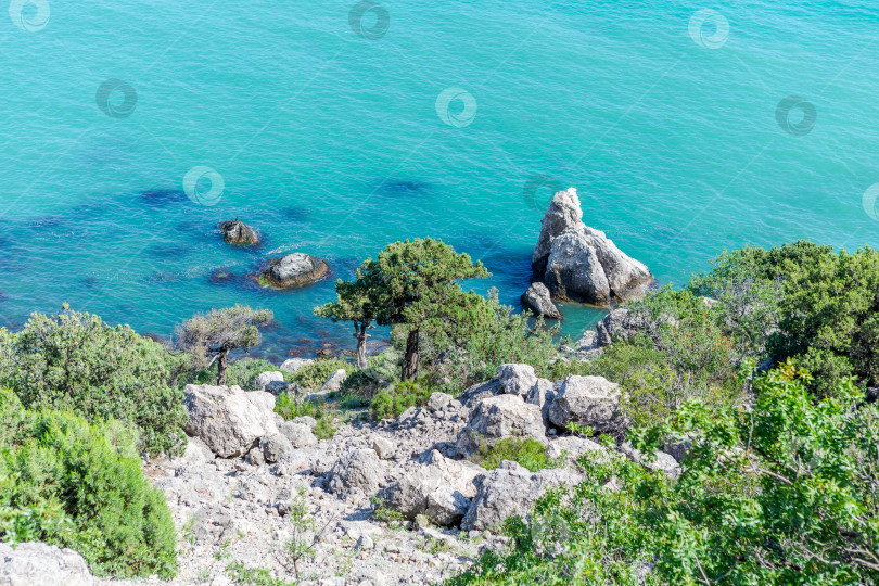 Скачать Скалистая береговая линия с деревом и скалой фотосток Ozero