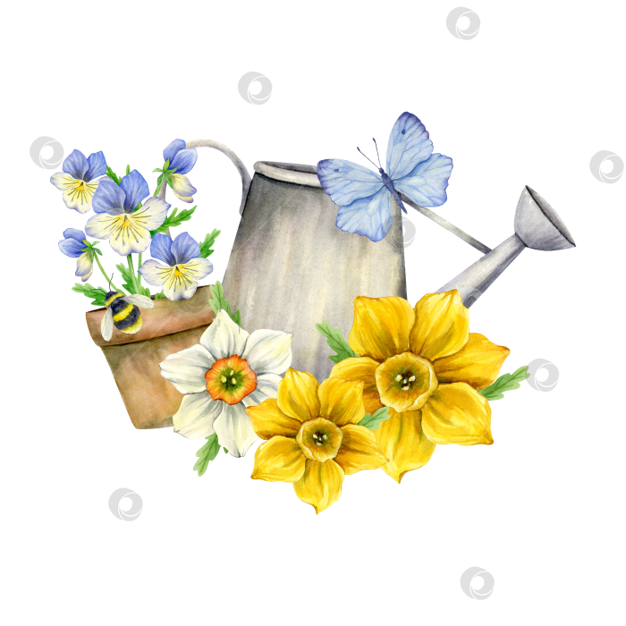 Скачать Композиция из садовых цветов. фотосток Ozero