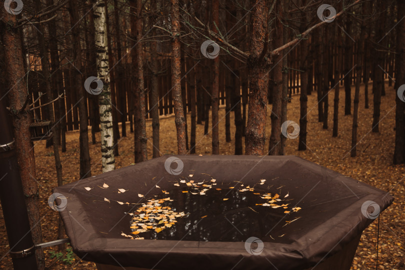 Скачать Банный чан в лесном глемпинге фотосток Ozero