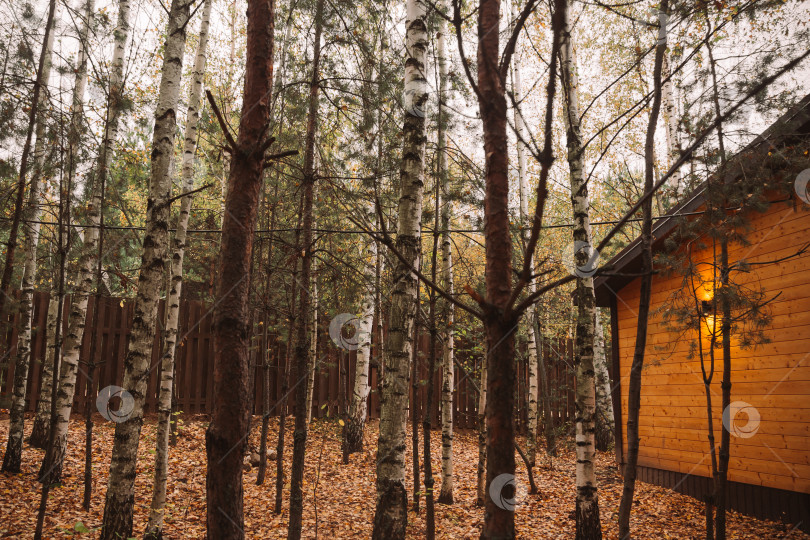 Скачать Маленький загородный дом в осеннем лесу фотосток Ozero