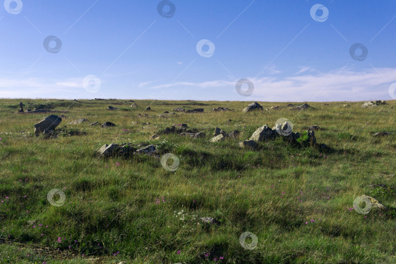 Скачать каменистый альпийский луг на плато со скалами среди травы фотосток Ozero
