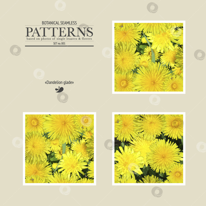 Скачать Бесшовный узор из фото цветов одуванчика фотосток Ozero