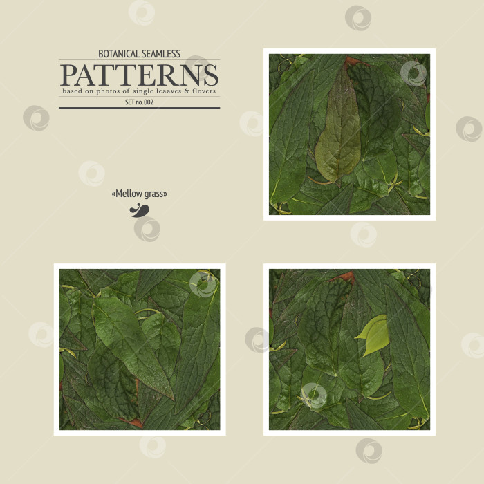 Скачать Бесшовный фото-узор с зеленой травой и листьями фотосток Ozero