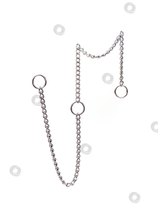 Скачать Металлический ошейник-цепочка для собаки, выделенный на белом фоне фотосток Ozero