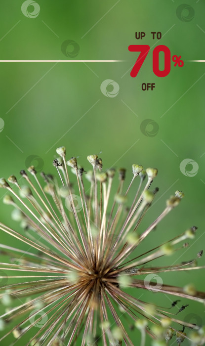 Скачать Концептуальный шаблон для торговой графики (коммерческое предложение) фотосток Ozero