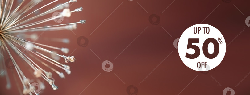 Скачать Концептуальный шаблон для торговой графики (коммерческое предложение) фотосток Ozero